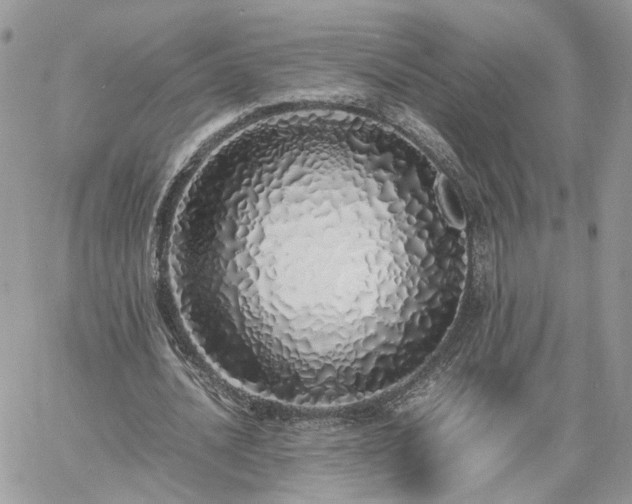 X0000060780628200511171244