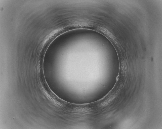 X0000060780629200511171244