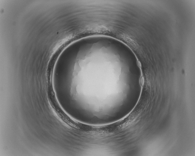 X0000060780630200511171244