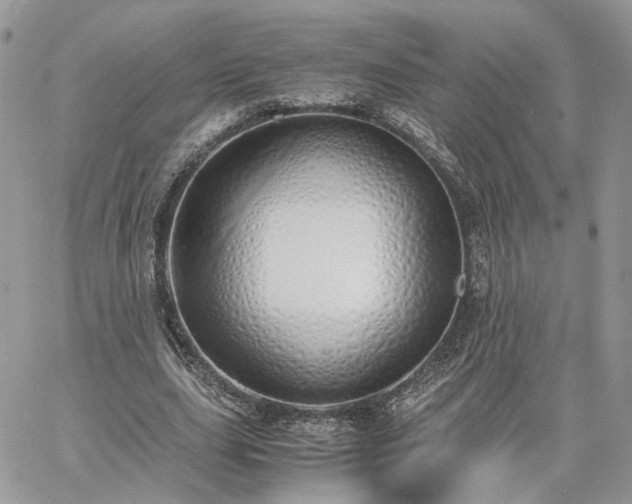 X0000060780631200511171244