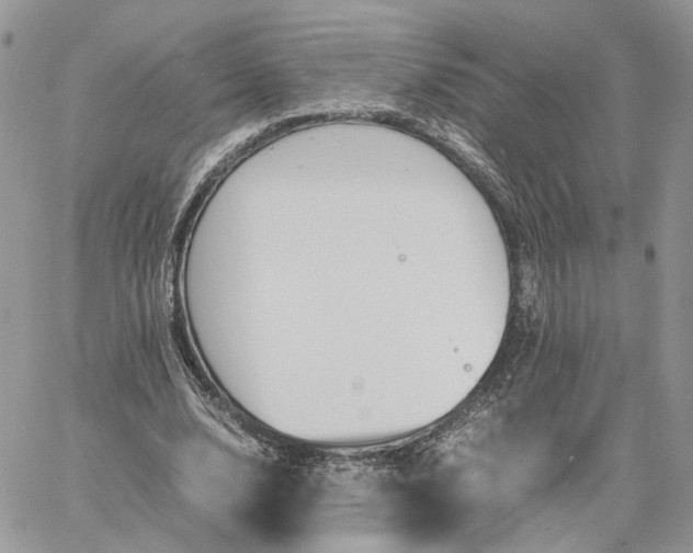 X0000060780632200511171244