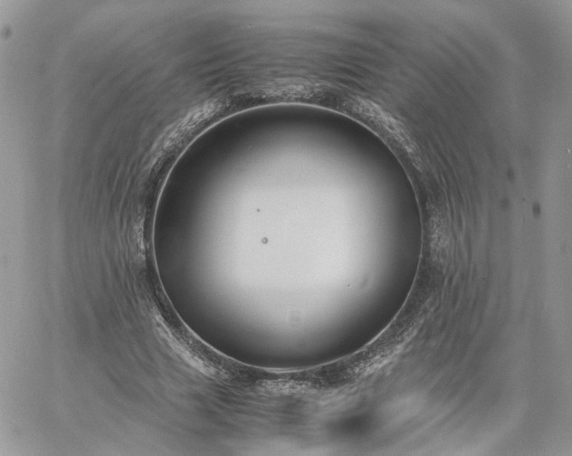 X0000060780633200511171244