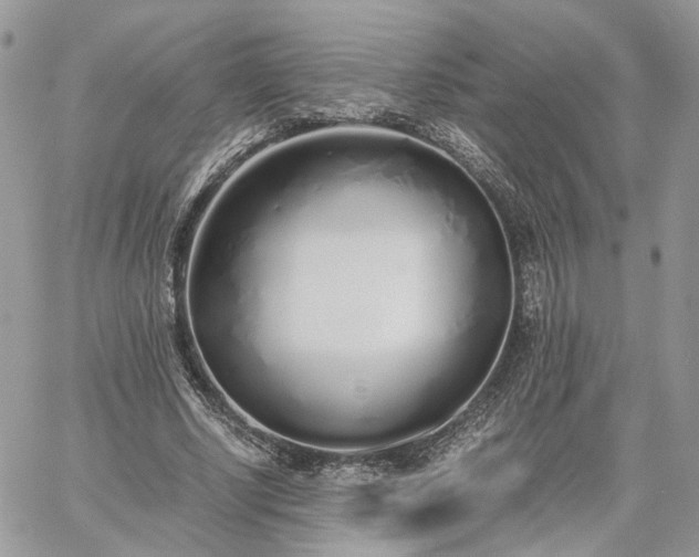 X0000060780634200511171244