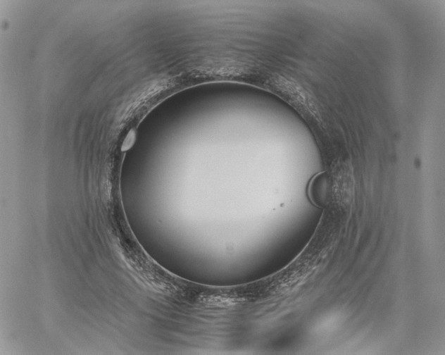 X0000060780635200511171244