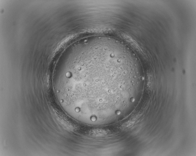 X0000060780636200511171244