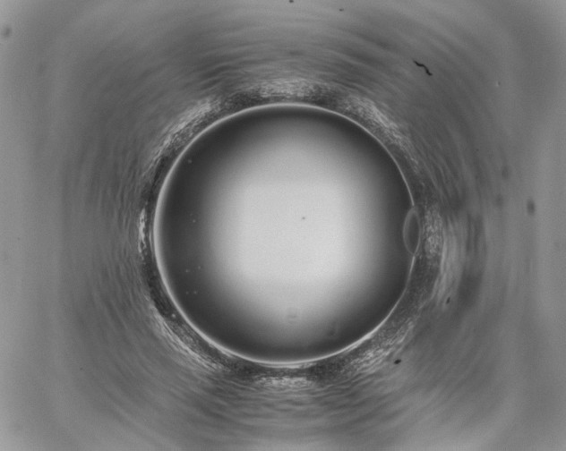 X0000060780637200511171244