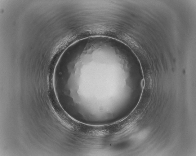 X0000060780638200511171244