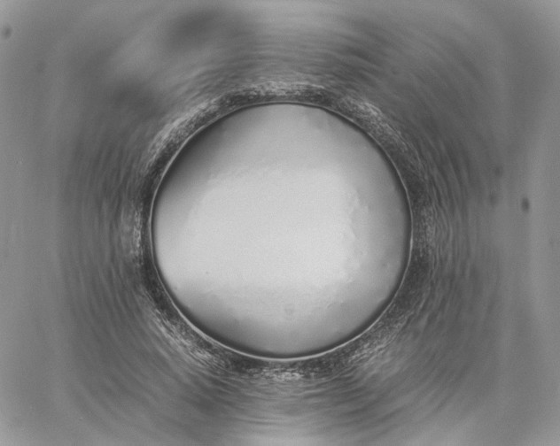 X0000060780640200511171244