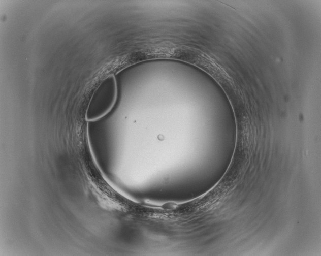 X0000060780641200511171244