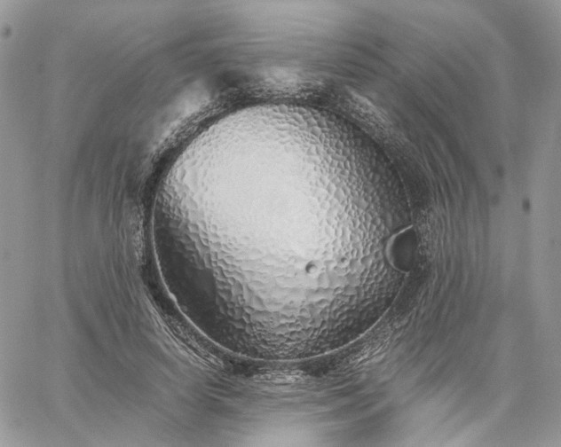 X0000060780642200511171244