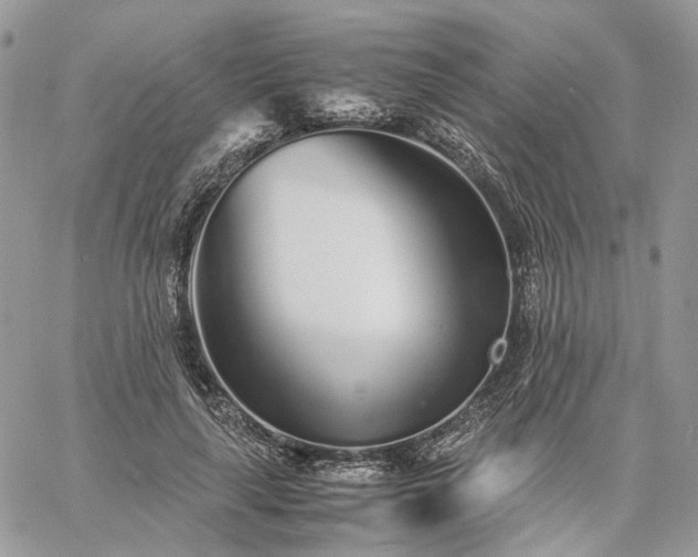 X0000060780643200511171244