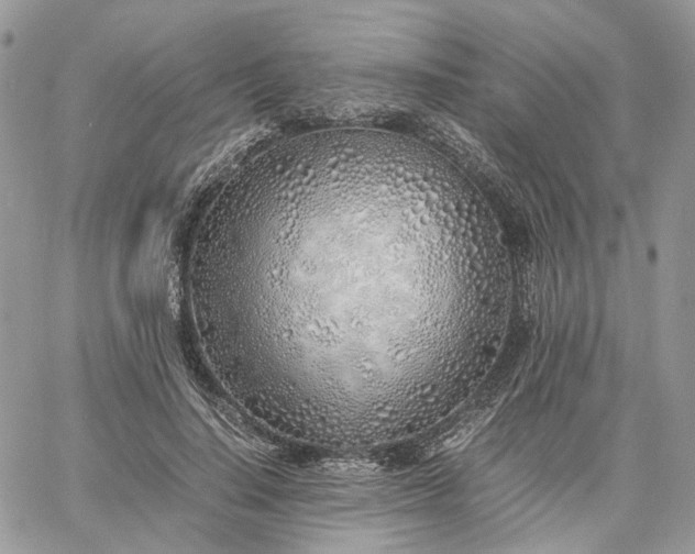 X0000060780644200511171244