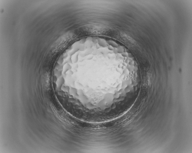 X0000060780646200511171244