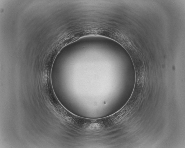 X0000060780647200511171244