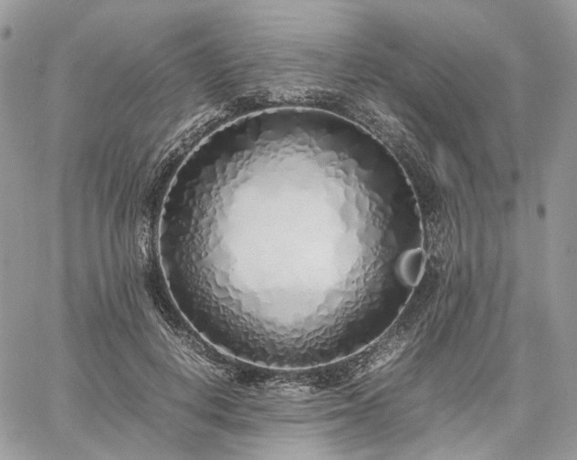 X0000060780648200511171244