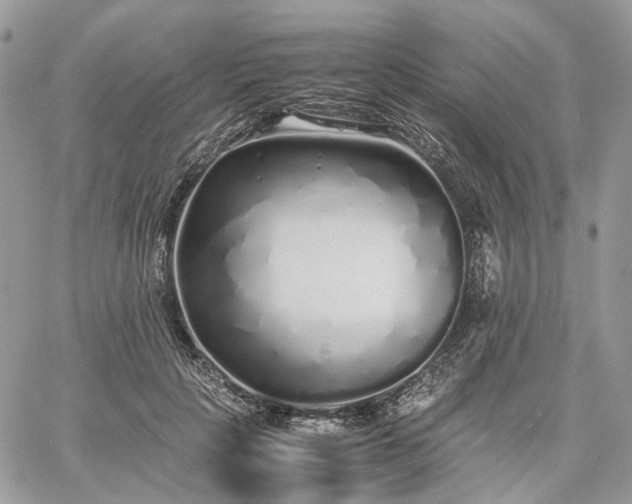 X0000060780649200511171244