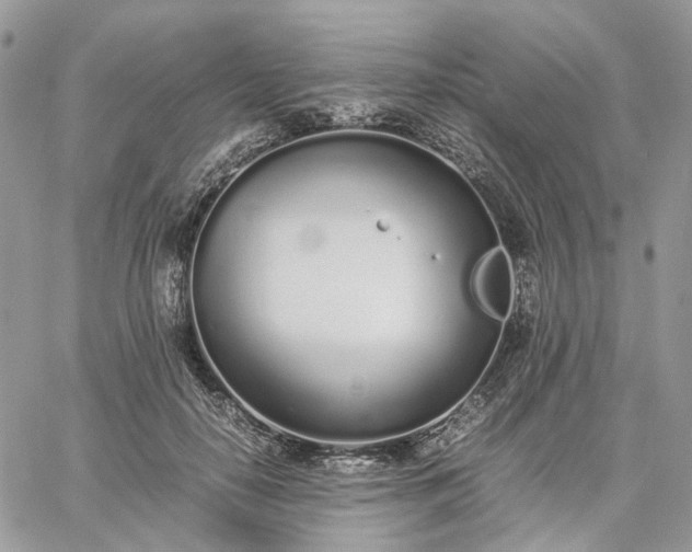 X0000060780650200511171244