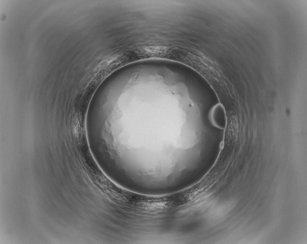 X0000060780651200511171244