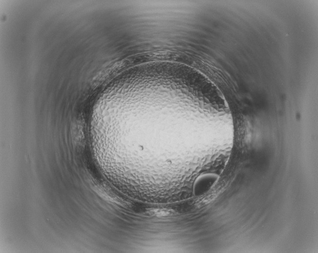 X0000060780654200511171244