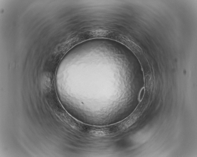 X0000060780655200511171244