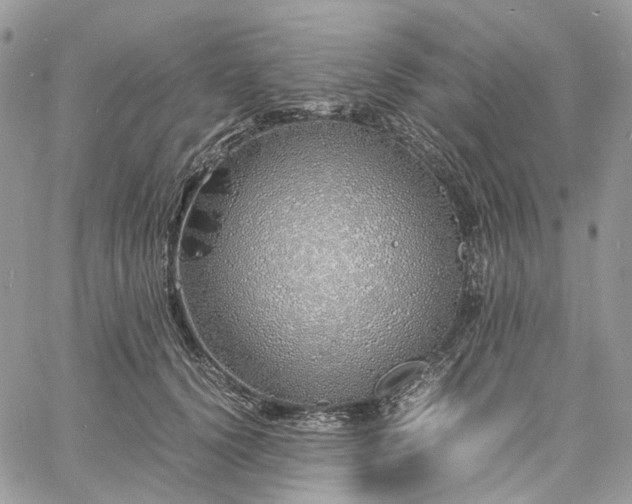 X0000060780656200511171244