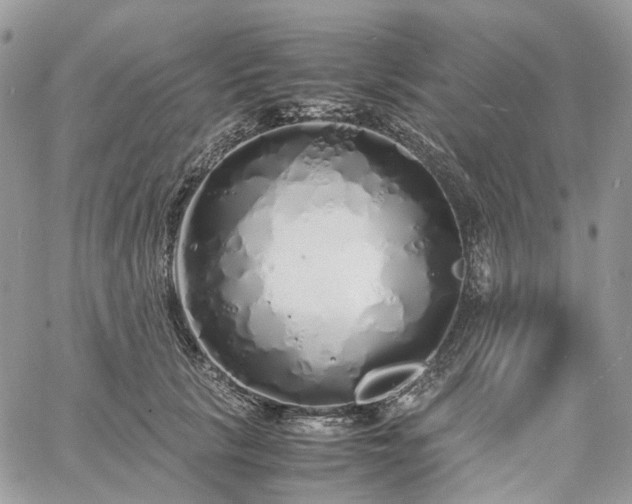 X0000060780657200511171244