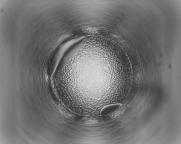 X0000060780658200511171244