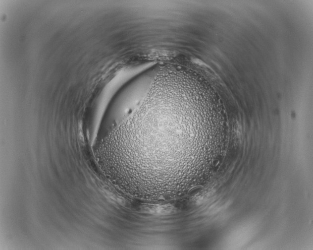 X0000060780663200511171244