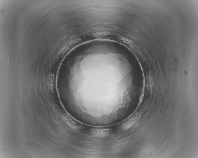 X0000060780664200511171244