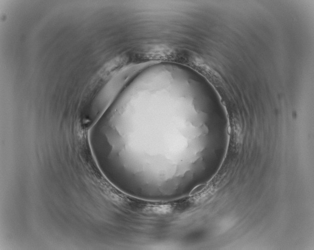 X0000060780665200511171244