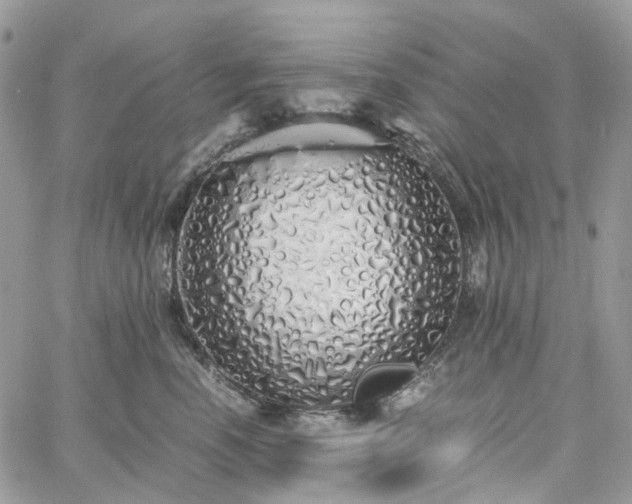 X0000060780666200511171244