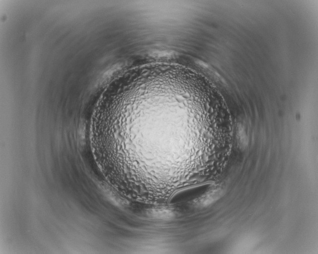 X0000060780668200511171244