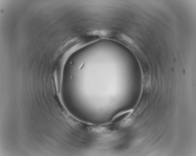 X0000060780669200511171244