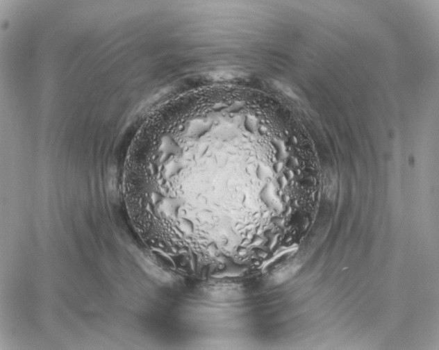 X0000060780670200511171244