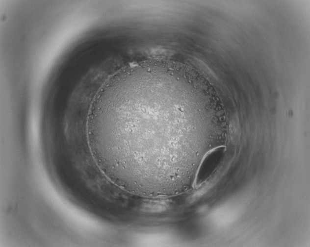 X0000060780671200511171244