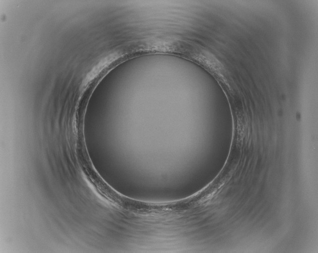 X0000060780674200511171244