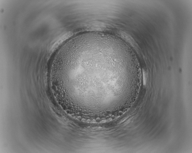 X0000060780675200511171244