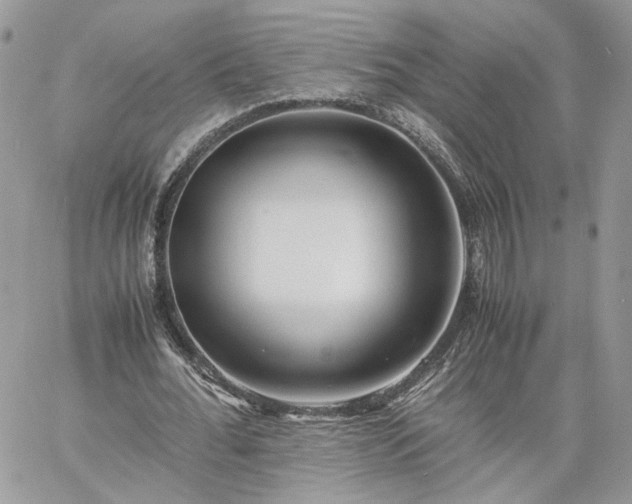 X0000060780676200511171243