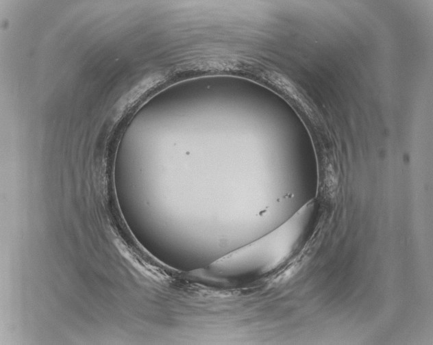 X0000060780677200511171243