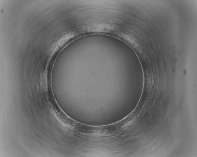 X0000060780678200511171243