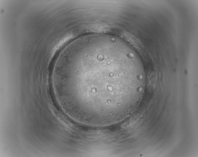 X0000060780679200511171243