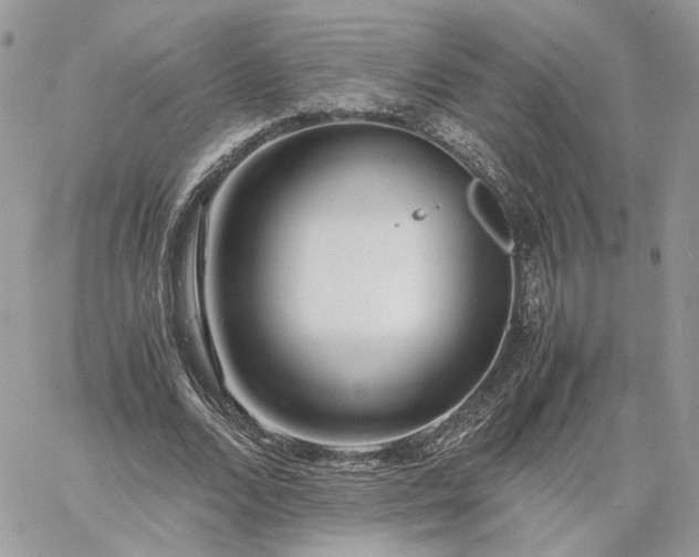 X0000060780680200511171243