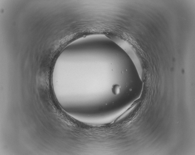 X0000060780681200511171243