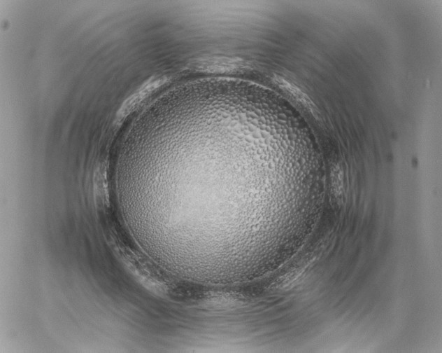 X0000060780682200511171243