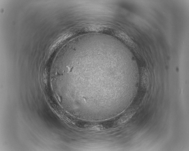 X0000060780683200511171243