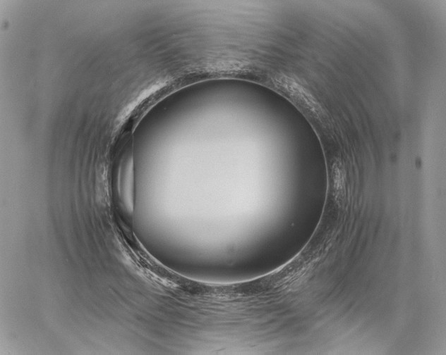 X0000060780684200511171243