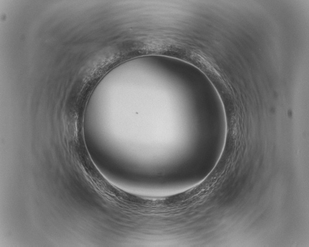 X0000060780685200511171243