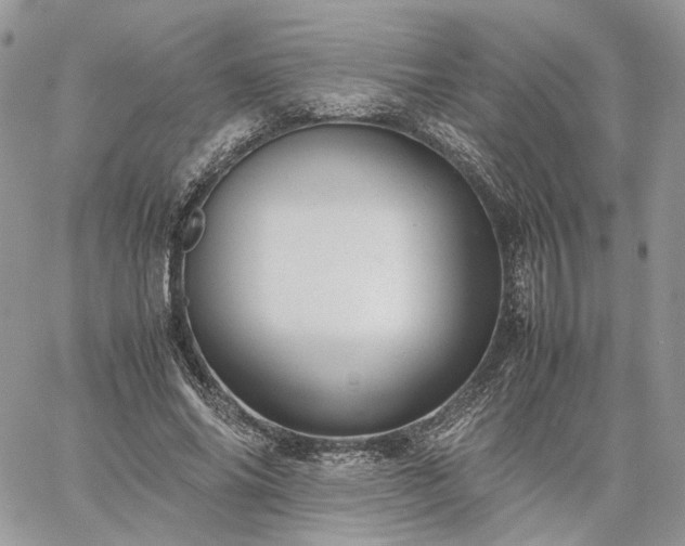 X0000060780686200511171243