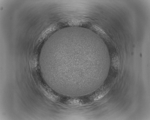 X0000060780687200511171243