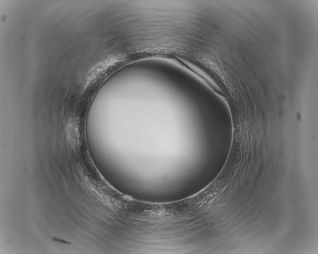 X0000060780688200511171243